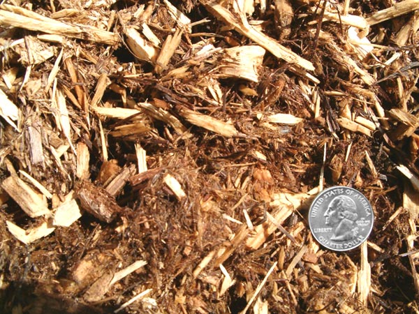 Cedar Mulch