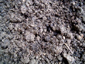 Top Soil and Planting Mix
