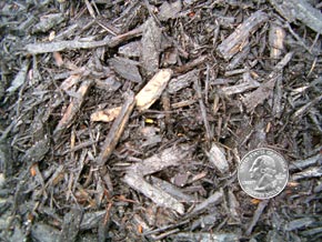 Eco-Mulch Black