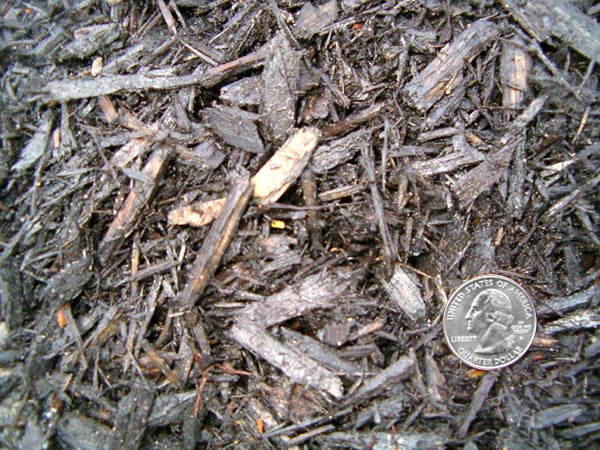 Eco-Mulch Black