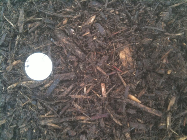 Double Shredded Hardwood Mulch