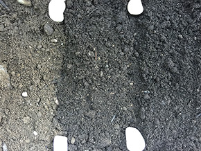 Soils Top 50-50 Peat Top Black Peat