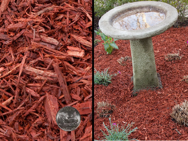 Red Mulch